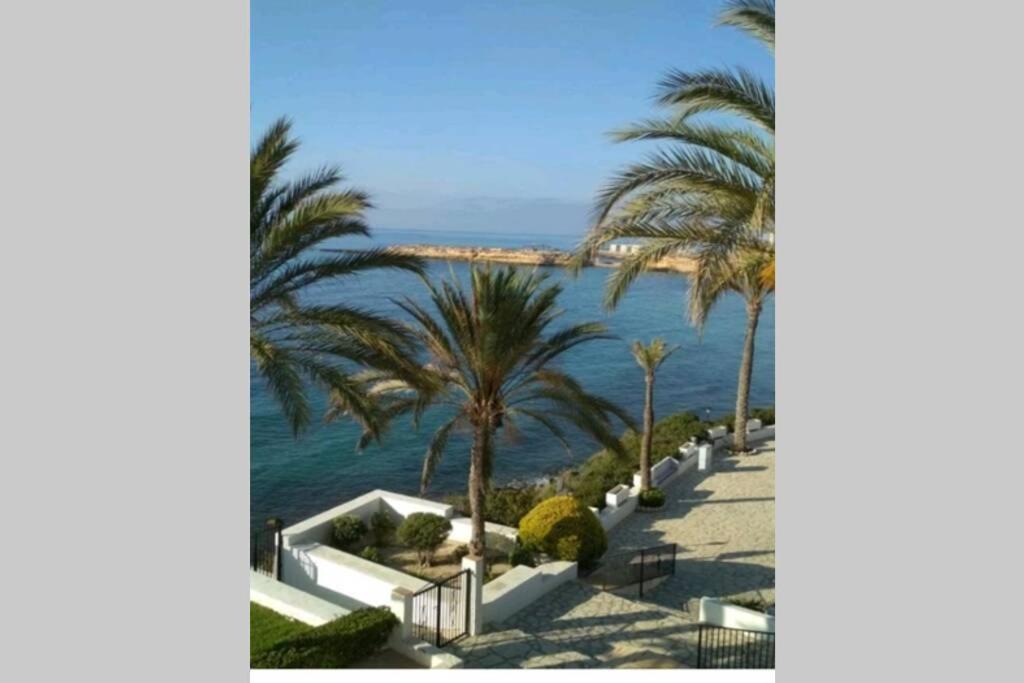 Apartamento Con Vistas Al Mar El Campello Bagian luar foto